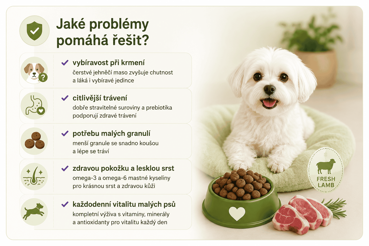 Arden Grange Adult Mini lamb jaké problémy pomáhá řešit